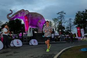 BIB: 
                            <button type="button" onclick="openModal(26529605)" class="btn btn-primary btn-sm float-right btn-popup" data-toggle="modal" data-target=".modal-high-quality">
                        <i class="fas fa-shopping-cart"></i> Add to Cart
                    </button>
                                            <button type="button" onclick="isThisMe(26529605, true)" class="btn btn-success btn-sm float-right btn-popup btn-isme hidden" data-toggle="tooltip" data-placement="bottom" title="นี่คือรูปของคุณใช่ไหม คลิกที่นี่เพื่อเอาเข้าอัลบั้ม">
                        <i class="fas fa-plus"></i> Add to album
                    </button>
                    <button type="button" onclick="isThisMe(26529605, false)" class="btn btn-warning btn-sm float-right btn-popup btn-isnotme hidden">
                        <i class="fas fa-ban"></i> Remove from album
                    </button>